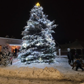 Rozsvícení vánočního stromu 