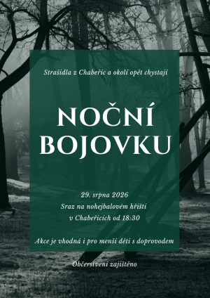 Plakát